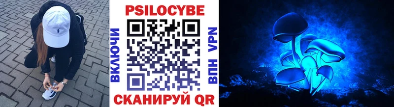 darknet формула  Белово  Псилоцибиновые грибы Psilocybe 